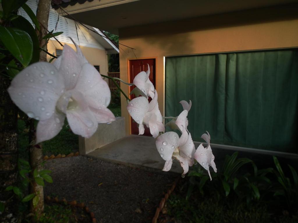 Villa De Mama Rawai Ngoại thất bức ảnh
