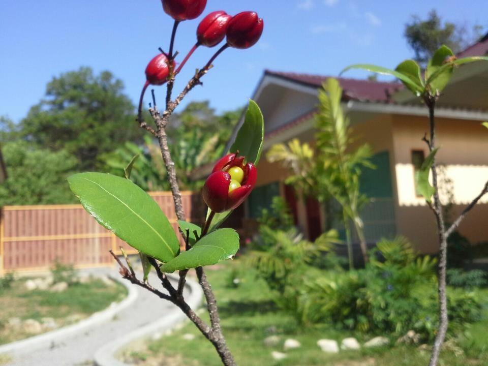 Villa De Mama Rawai Phòng bức ảnh
